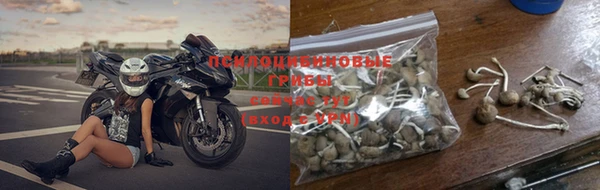 дмт Аркадак