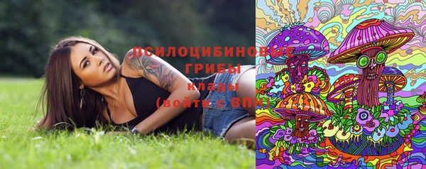 каннабис Арсеньев